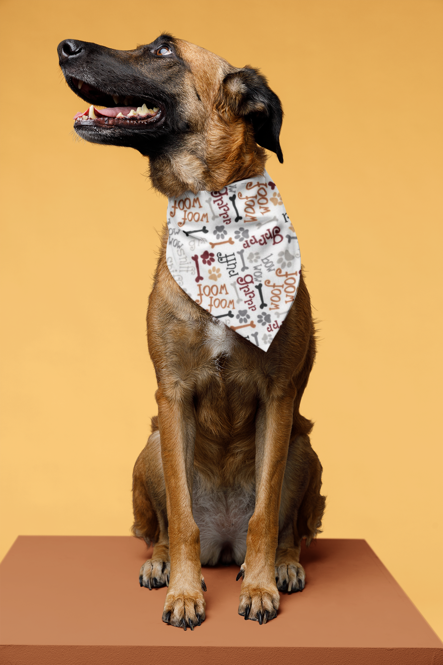 Woof   |   Reversible and Snap-On Dog Bandana